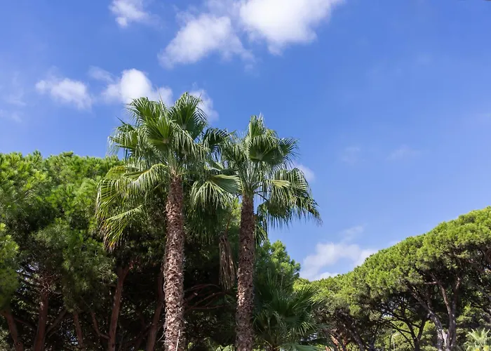 Aparthotel Las Palmeras Castelldefels